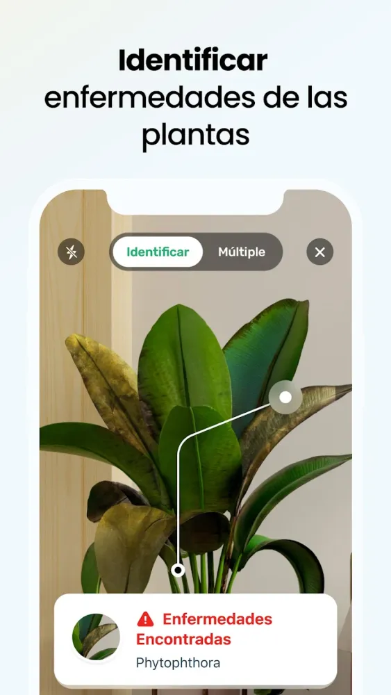 Captura de la aplicación Plantify