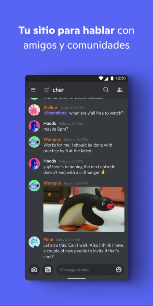 Captura de la aplicación Discord