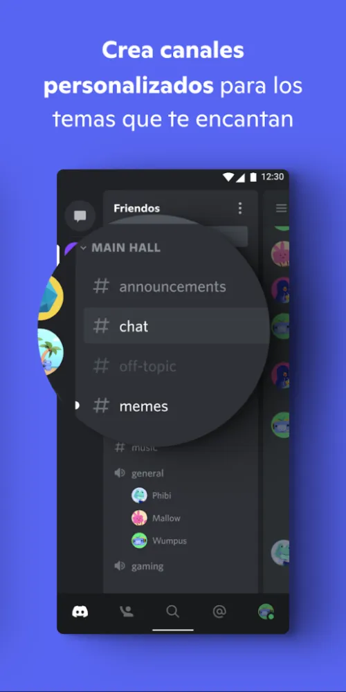 Captura de la aplicación Discord