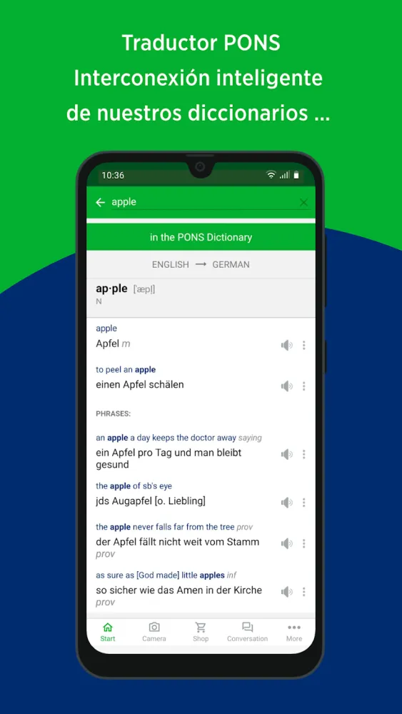 Captura de la aplicación Traductor PONS