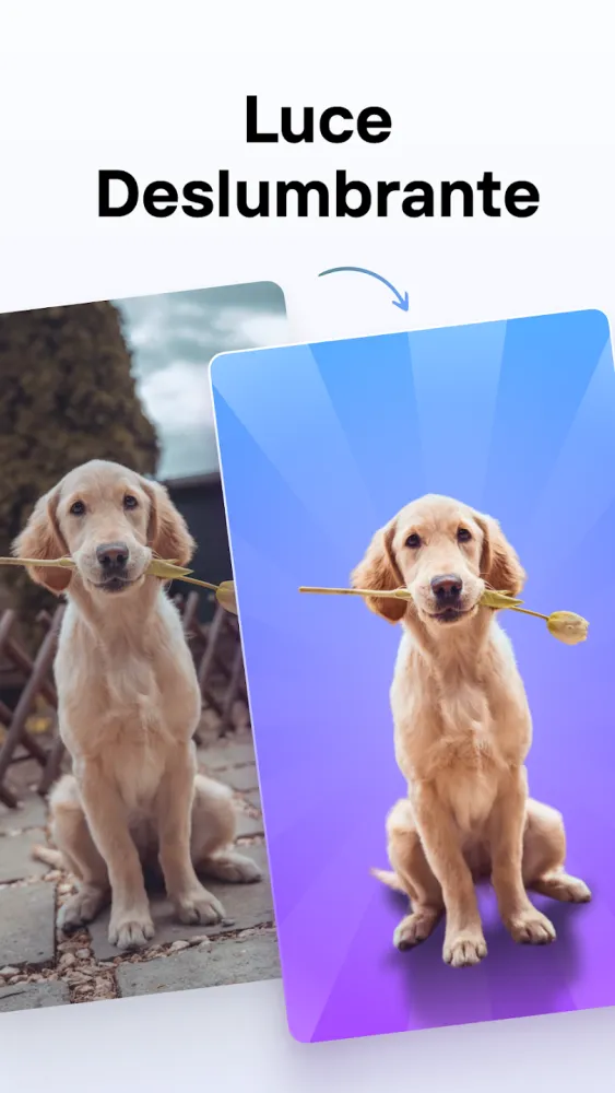 Captura de la aplicación Photoroom