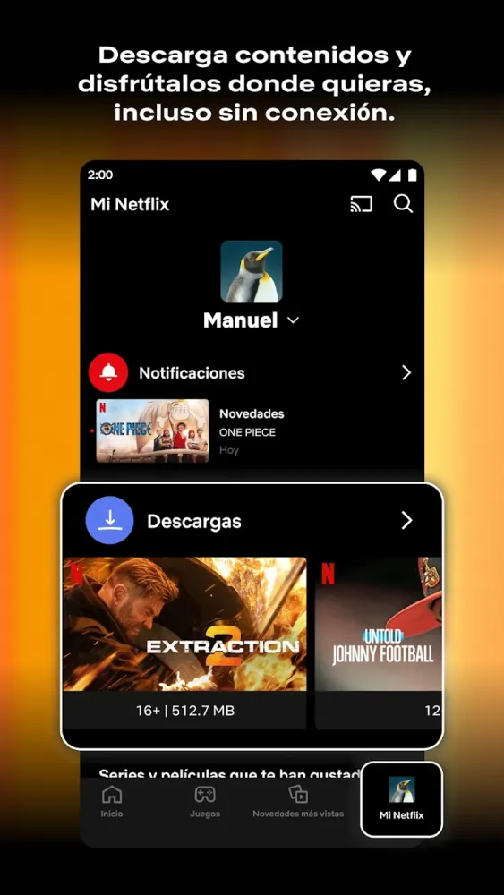 Captura de la aplicación Netflix
