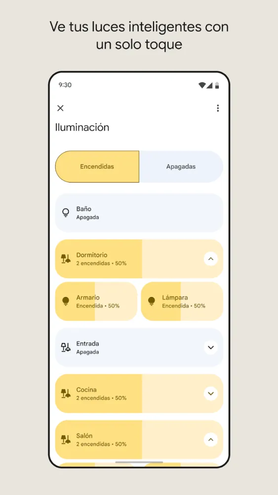 Captura de la aplicación Google Home